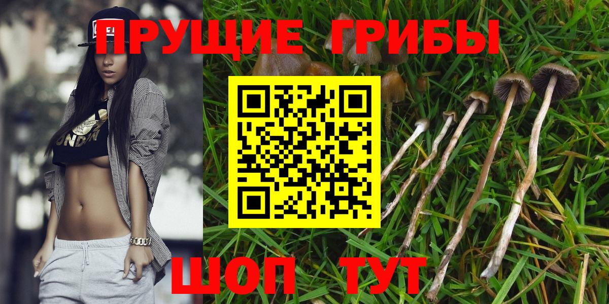 Галлюциногенные грибы GOLDEN TEACHER  Вход с VPN  Миллерово  Псилоцибиновые грибы мухоморы 