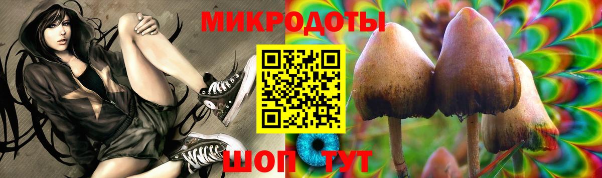 Псилоцибиновые грибы мицелий Миллерово