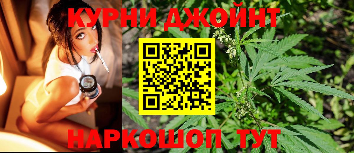 Бошки Шишки планчик Миллерово